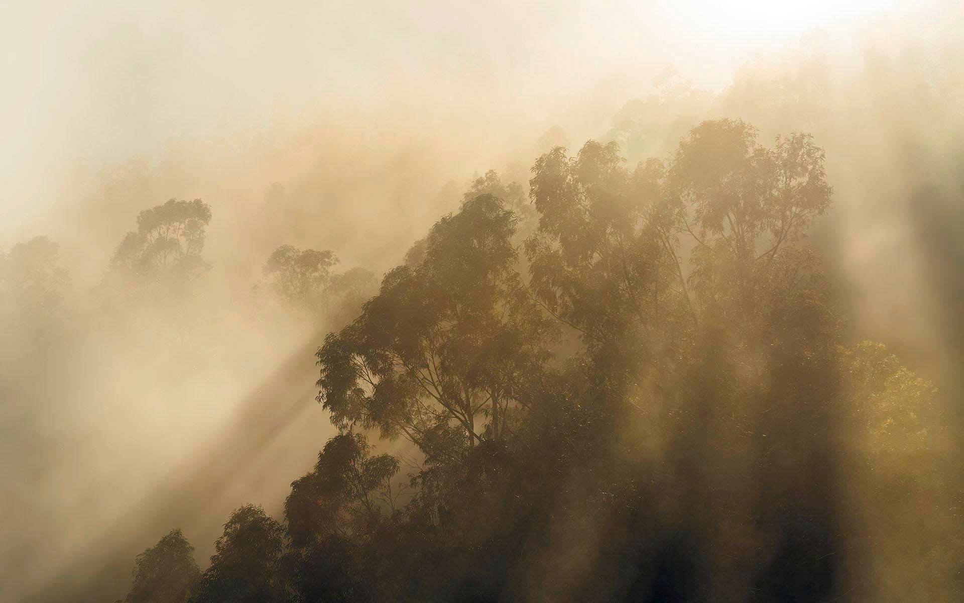 Komar Vliestapete »Misty Mountain«, 400x250 cm (Breite x Höhe), Vliestapete, 100 cm Bahnbreite von Komar