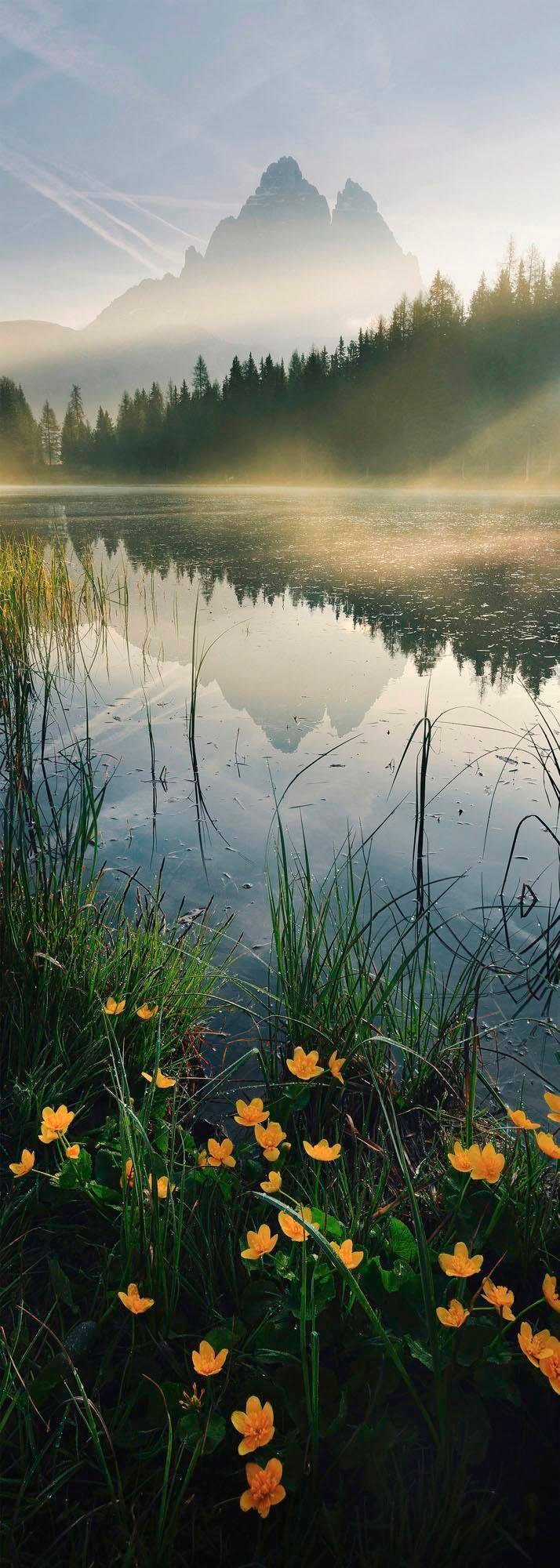 Komar Vliestapete »Morning Mist«, 100x280 cm (Breite x Höhe), Vliestapete, 100 cm Bahnbreite von Komar