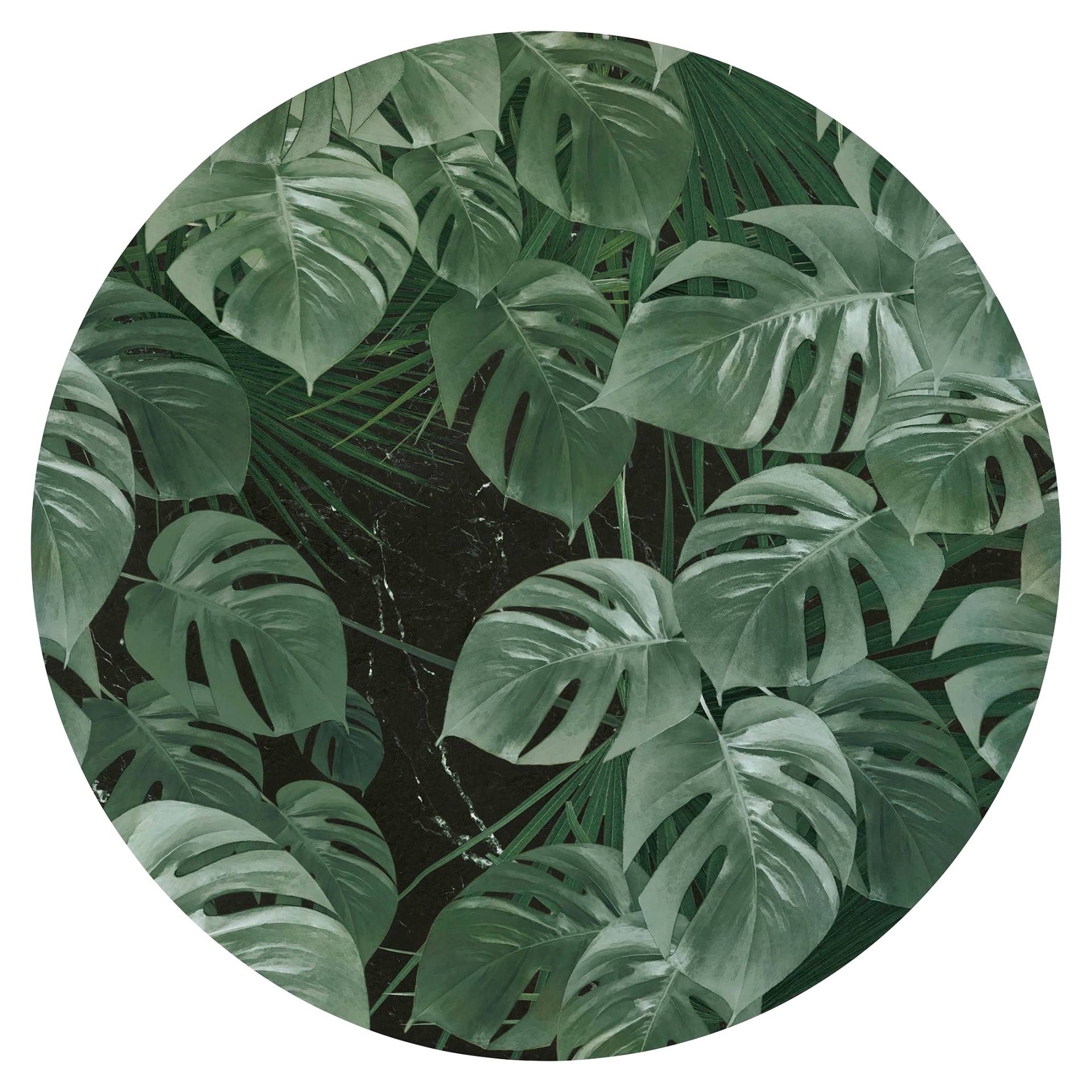 Komar Vliestapete »Novel Monstera«, 125x125 cm (Breite x Höhe), rund und selbstklebend von Komar