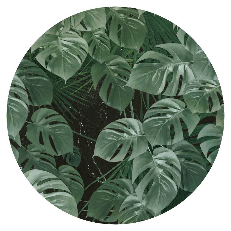 Komar Vliestapete »Vlies selbstklebend - Novel Monstera - Grösse 125 x 125 cm«, bedruckt, Wohnzimmer, Schlafzimmer von Komar