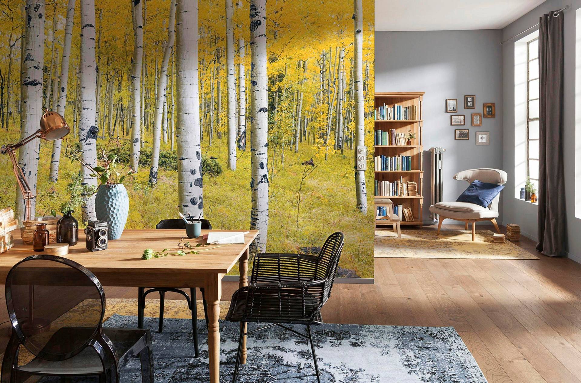 Komar Vliestapete »Digitaldruck Vlies - Orange Forest - Grösse 400 x 250 cm«, bedruckt, Wohnzimmer, Schlafzimmer Komar Vliestapete »Digitaldruck Vlies - Orange Forest - Grösse 400 x 250 cm«, bedruckt, Wohnzimmer, Schlafzimmer von Komar