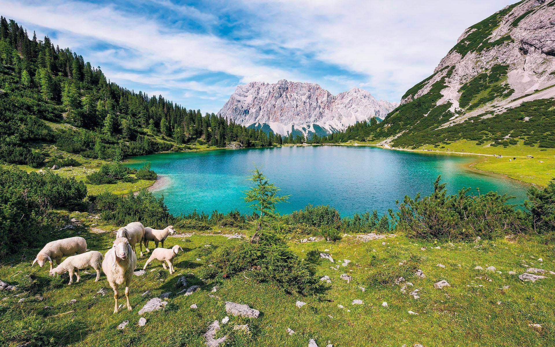 Komar Vliestapete »Paradise Lake«, 400x250 cm (Breite x Höhe), Vliestapete, 100 cm Bahnbreite von Komar