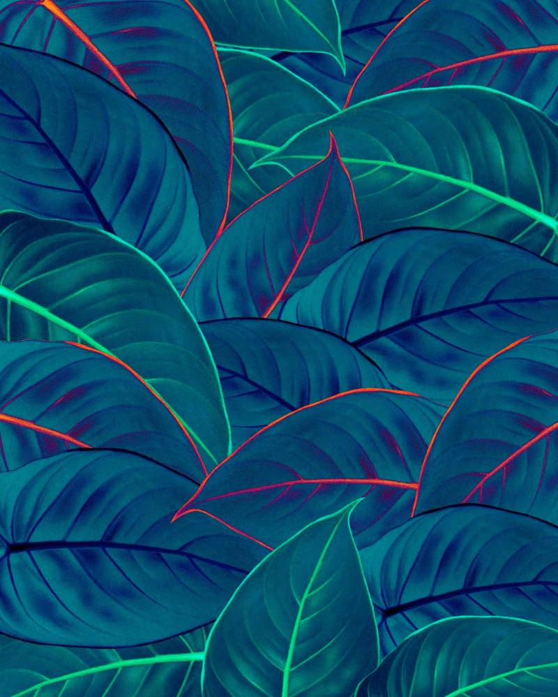 Komar Vliestapete »Digitaldruck Vlies - Foliage - Grösse 200 x 250 cm«, bedruckt, Wohnzimmer, Schlafzimmer von Komar