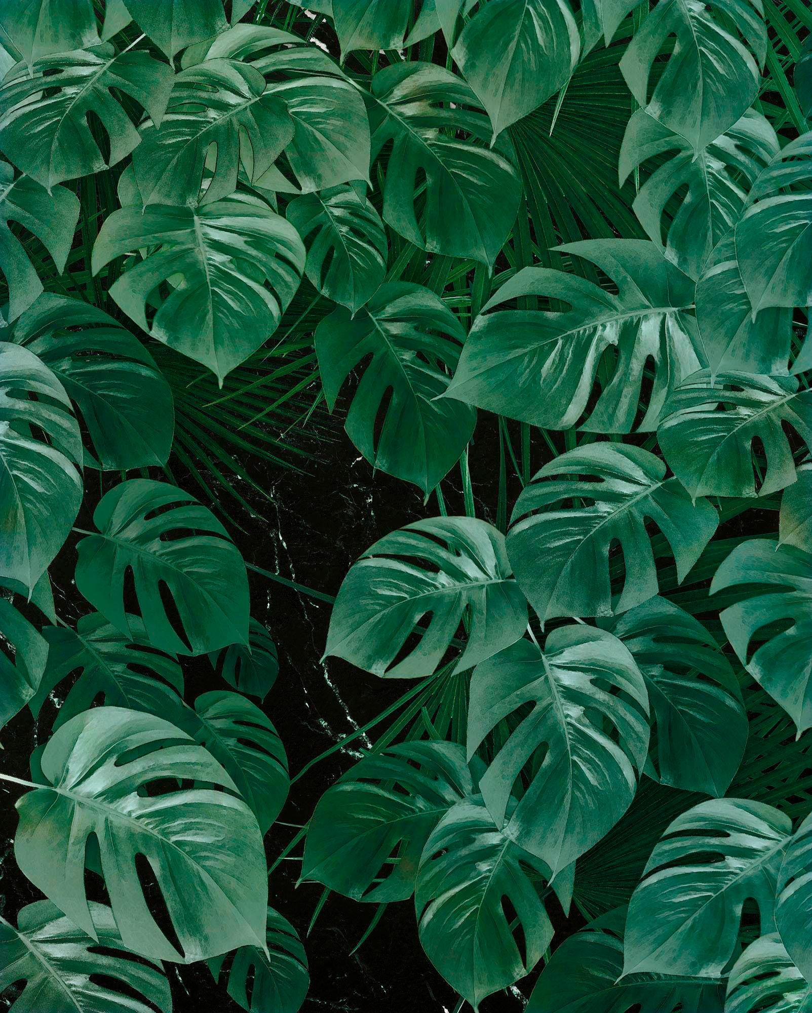 Komar Vliestapete »Digitaldruck Vlies - Monstera on Marble - Grösse 200 x 250 cm«, bedruckt, Wohnzimmer, Schlafzimmer von Komar