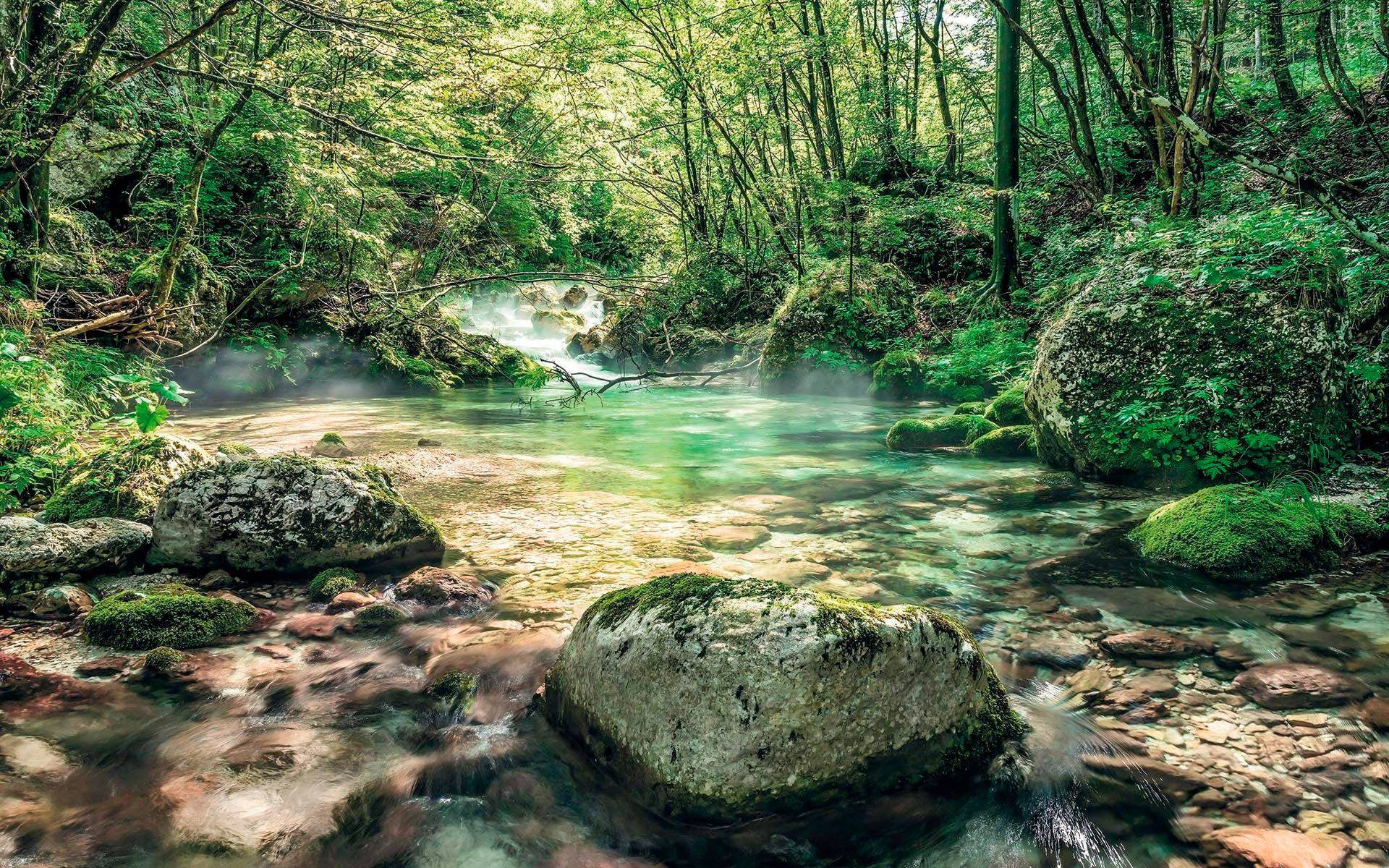 Komar Vliestapete »Tranquil Pool«, 400x250 cm (Breite x Höhe), Vliestapete, 100 cm Bahnbreite von Komar