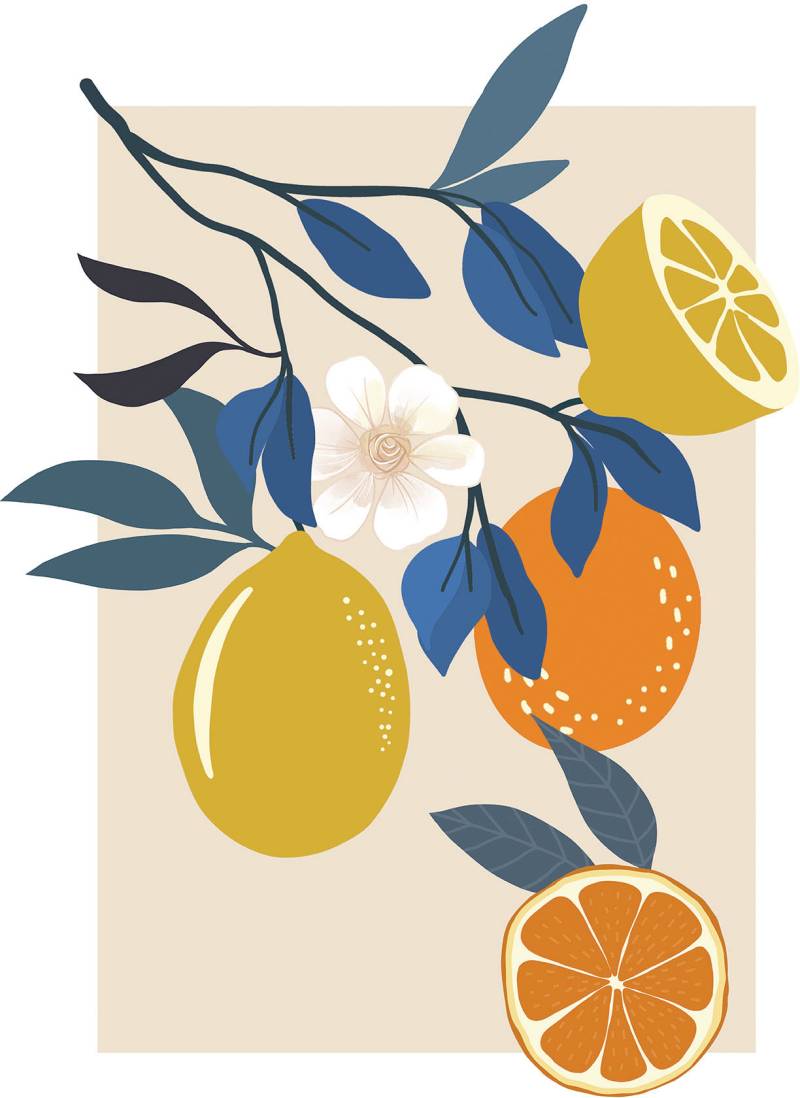 Komar Wandbild »Illustration Finest Fruits«, (1 St.), Deutsches Premium-Poster Fotopapier mit seidenmatter Oberfläche und hoher Lichtbeständigkeit. Für fotorealistische Drucke mit gestochen scharfen Details und hervorragender Farbbrillanz. von Komar