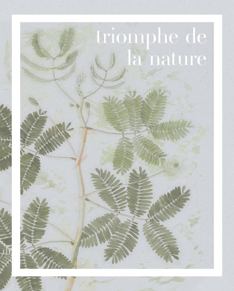 Komar Wandbild »Triomphe de la nature«, (1 St.), Deutsches Premium-Poster Fotopapier mit seidenmatter Oberfläche und hoher Lichtbeständigkeit. Für fotorealistische Drucke mit gestochen scharfen Details und hervorragender Farbbrillanz. von Komar