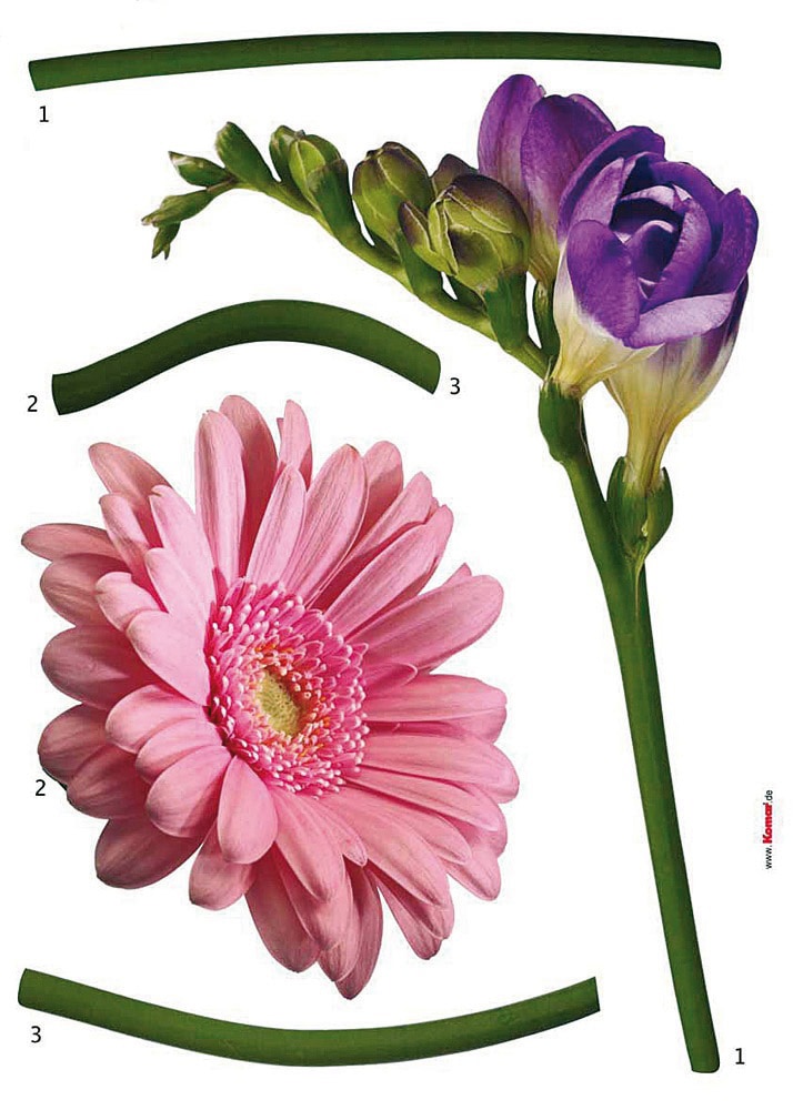 Komar Wandtattoo »Fiore - Grösse 50 x 70 cm«, (5 St.), selbstklebend, Wandsticker von Komar