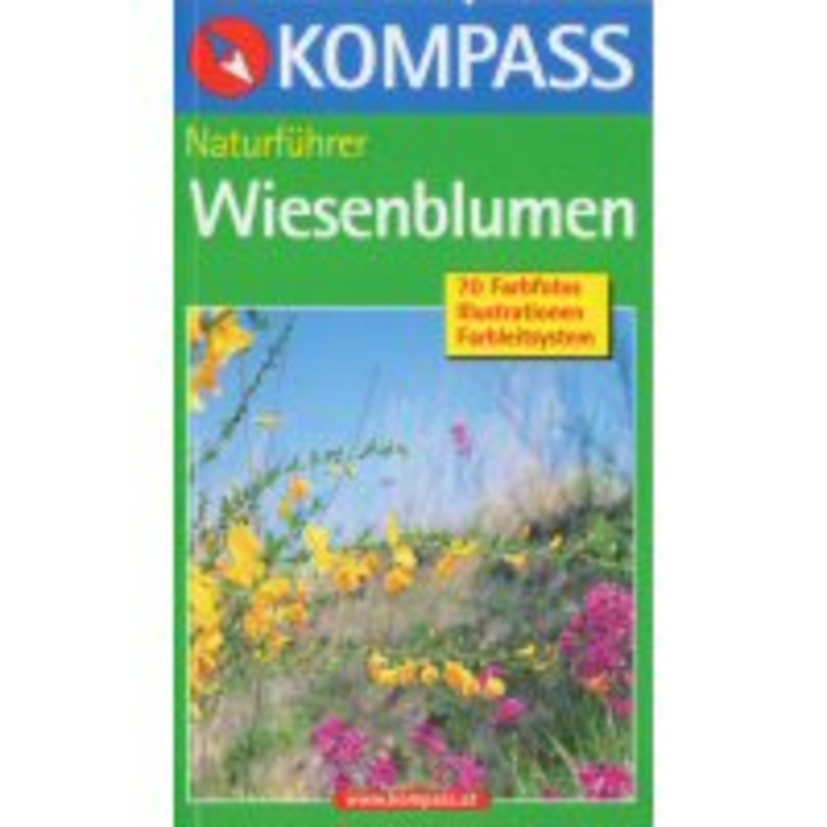 Kompass Verlag Wiesenblumen NF 1102 Naturführer von Kompass Verlag