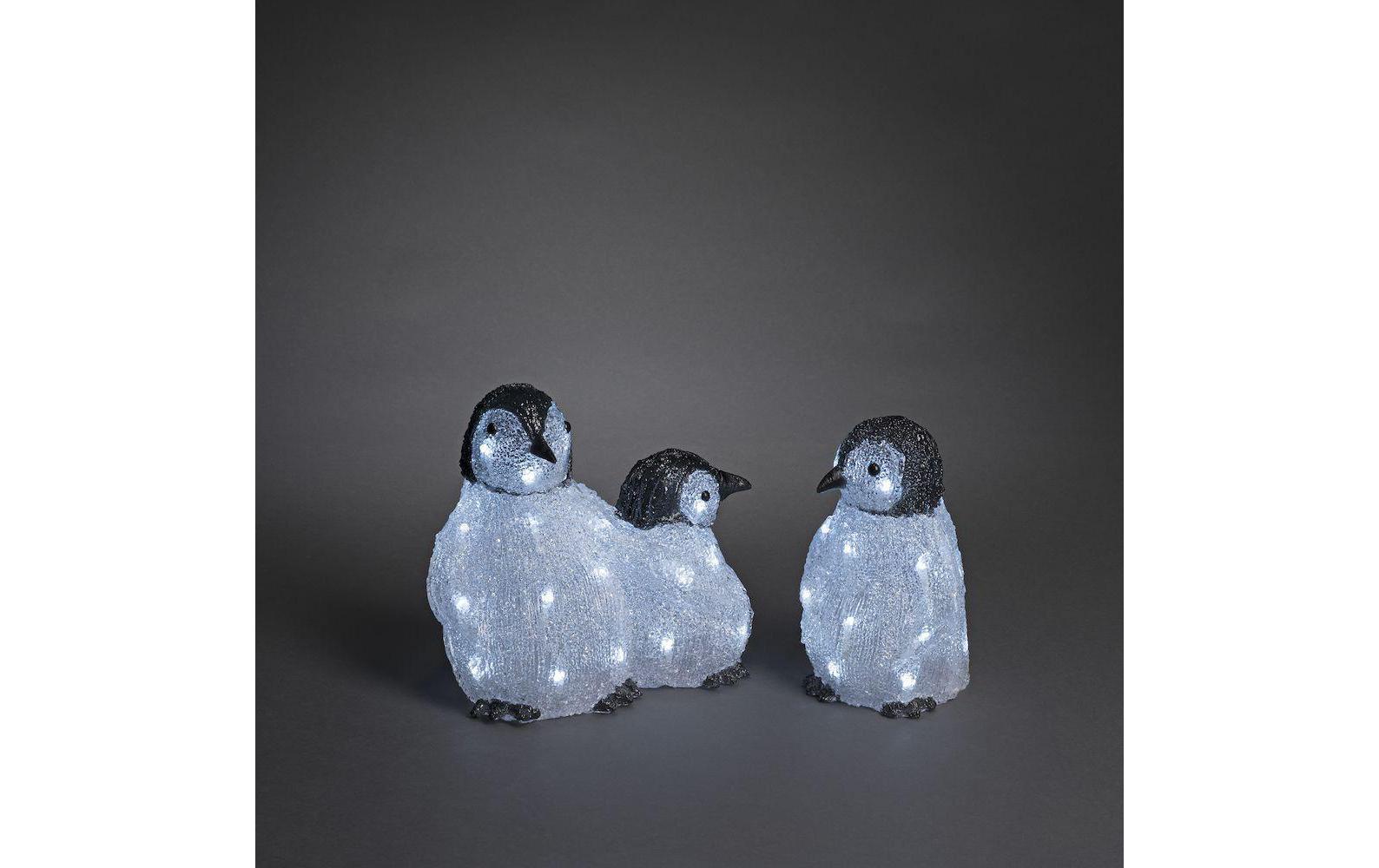 KONSTSMIDE LED Dekofigur »Acrylic Pinguine«, Leuchtmittel LED-Modul LED fest integriert KONSTSMIDE LED Dekofigur »Acrylic Pinguine«, Leuchtmittel LED-Modul LED fest integriert von Konstsmide
