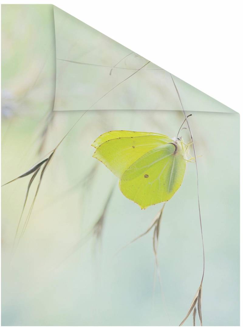 LICHTBLICK ORIGINAL Fensterfolie »Schmetterling Grün«, 1 St., blickdicht, strukturiertKlebepunkte, selbstklebend, Sichtschutz von LICHTBLICK ORIGINAL