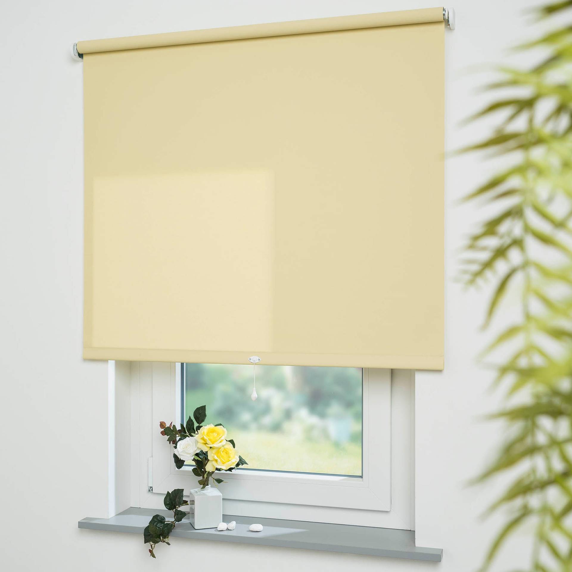 Liedeco Springrollo »Uni«, Lichtschutz, freihängend, lichtdurchlässig Liedeco Springrollo »Uni«, Lichtschutz, freihängend, lichtdurchlässig von LIEDECO