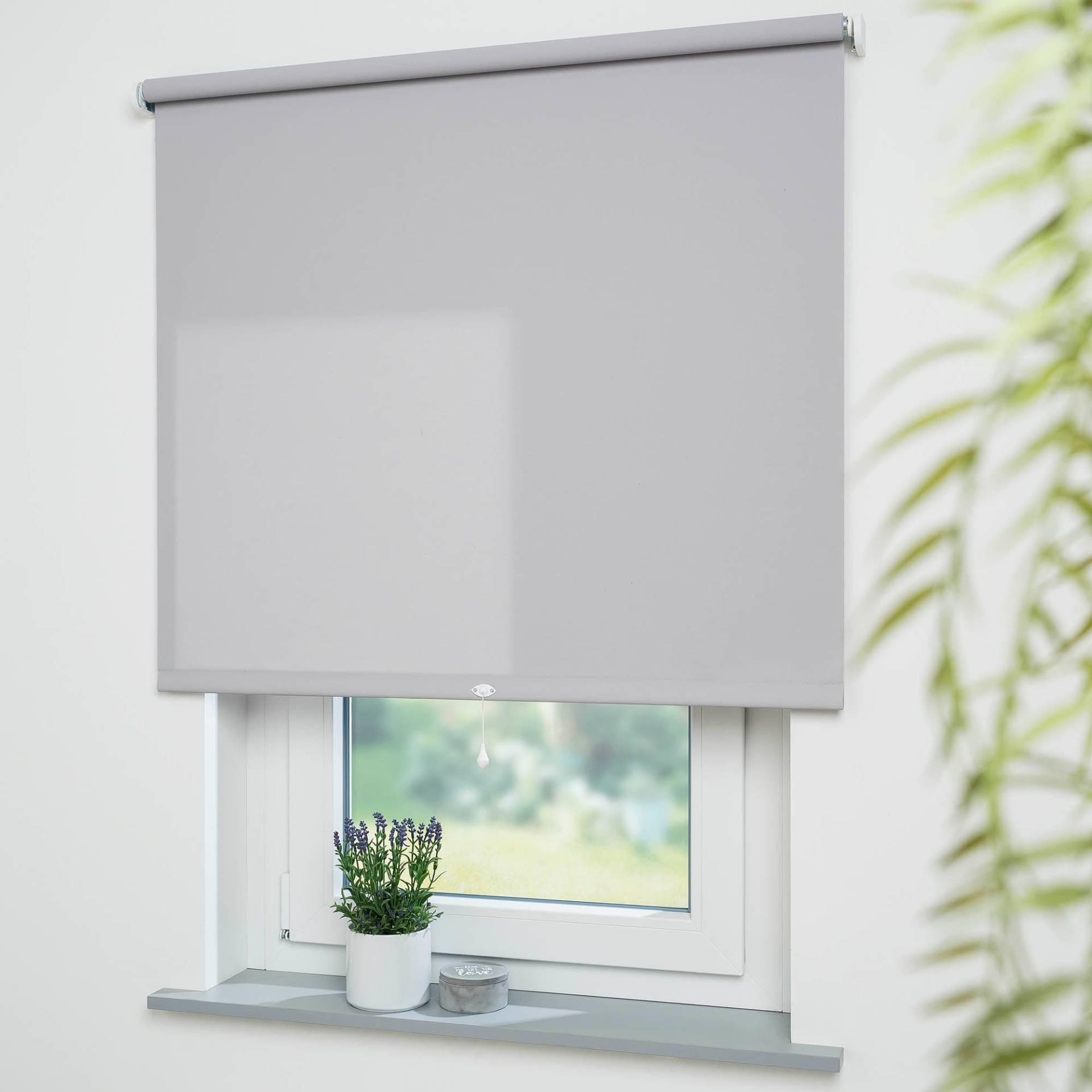 Liedeco Springrollo »Uni«, Lichtschutz, freihängend, lichtdurchlässig Liedeco Springrollo »Uni«, Lichtschutz, freihängend, lichtdurchlässig von LIEDECO