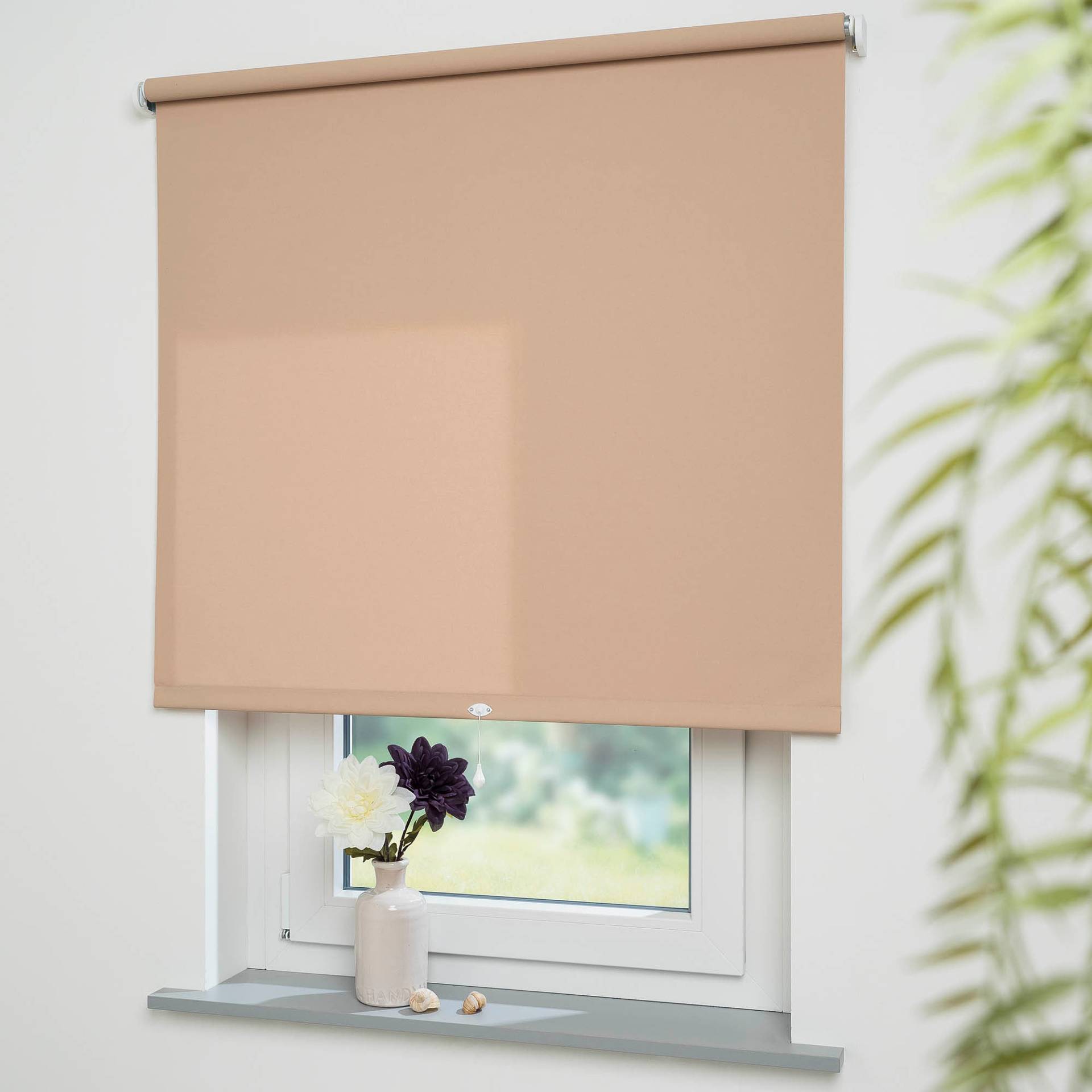 Liedeco Springrollo »Uni«, Lichtschutz, freihängend, lichtdurchlässig Liedeco Springrollo »Uni«, Lichtschutz, freihängend, lichtdurchlässig von LIEDECO
