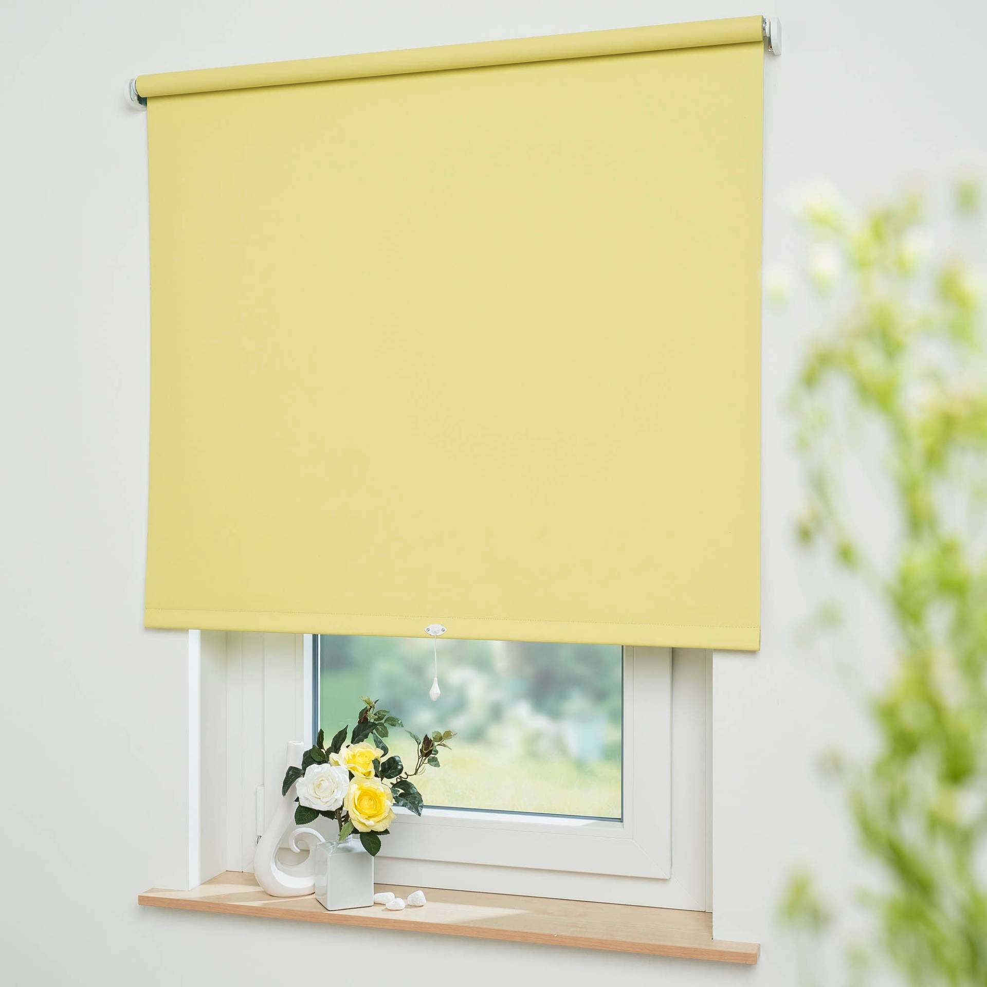 Liedeco Springrollo »Uni«, verdunkelnd, freihängend, Verdunkelung Liedeco Springrollo »Uni«, verdunkelnd, freihängend, Verdunkelung von LIEDECO