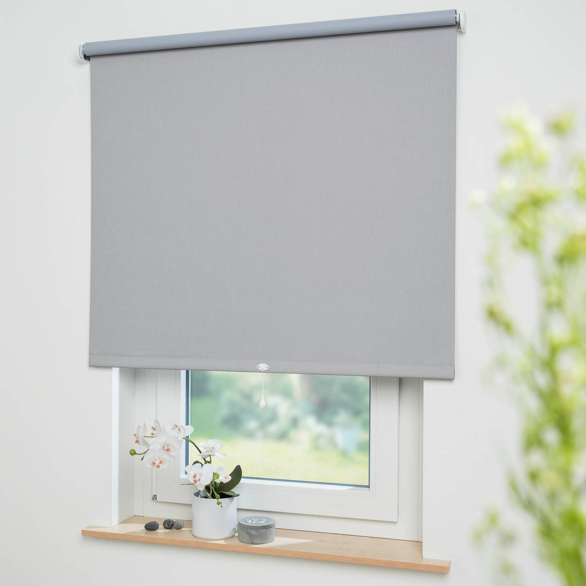 Liedeco Springrollo »Uni«, verdunkelnd, freihängend, Verdunkelung Liedeco Springrollo »Uni«, verdunkelnd, freihängend, Verdunkelung von LIEDECO