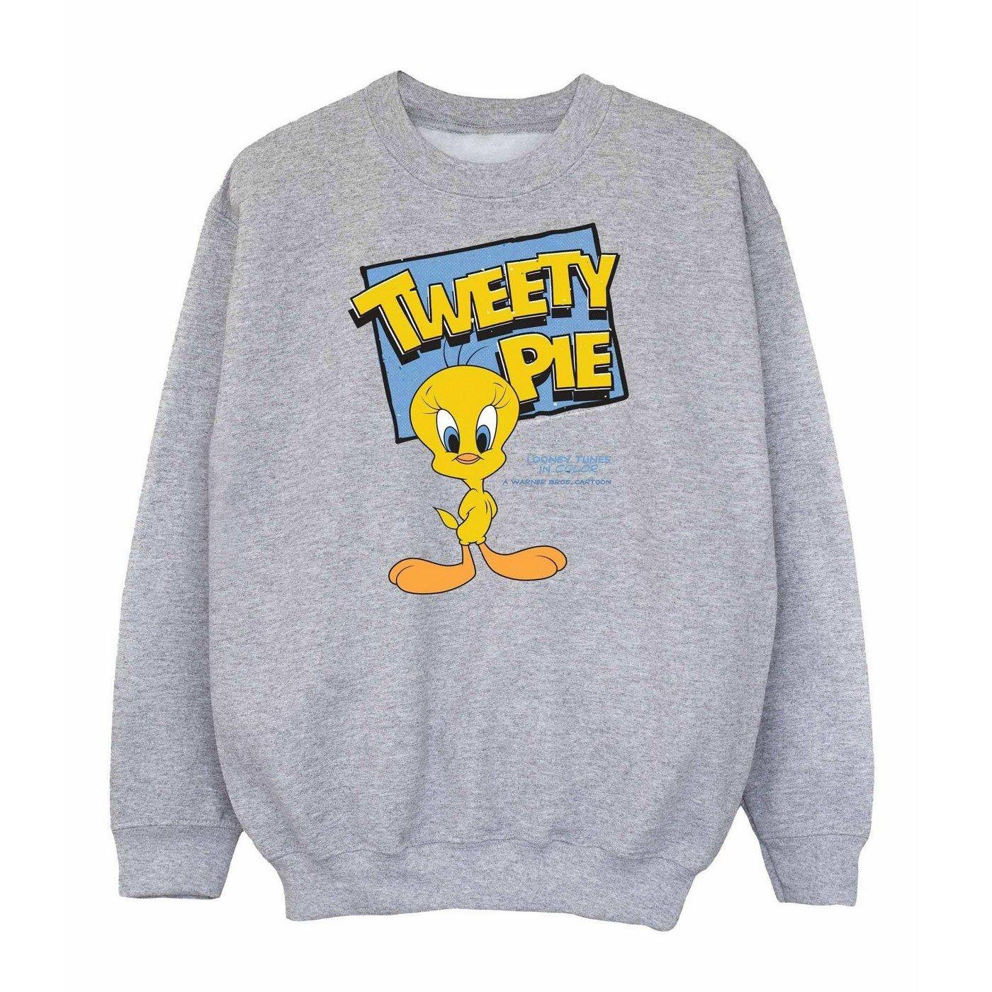 Classic Sweatshirt Mädchen Grau 116 von LOONEY TUNES