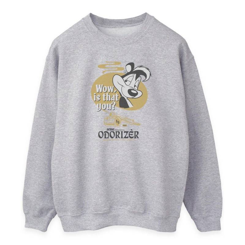 Odorizer Sweatshirt Damen Grau M von LOONEY TUNES