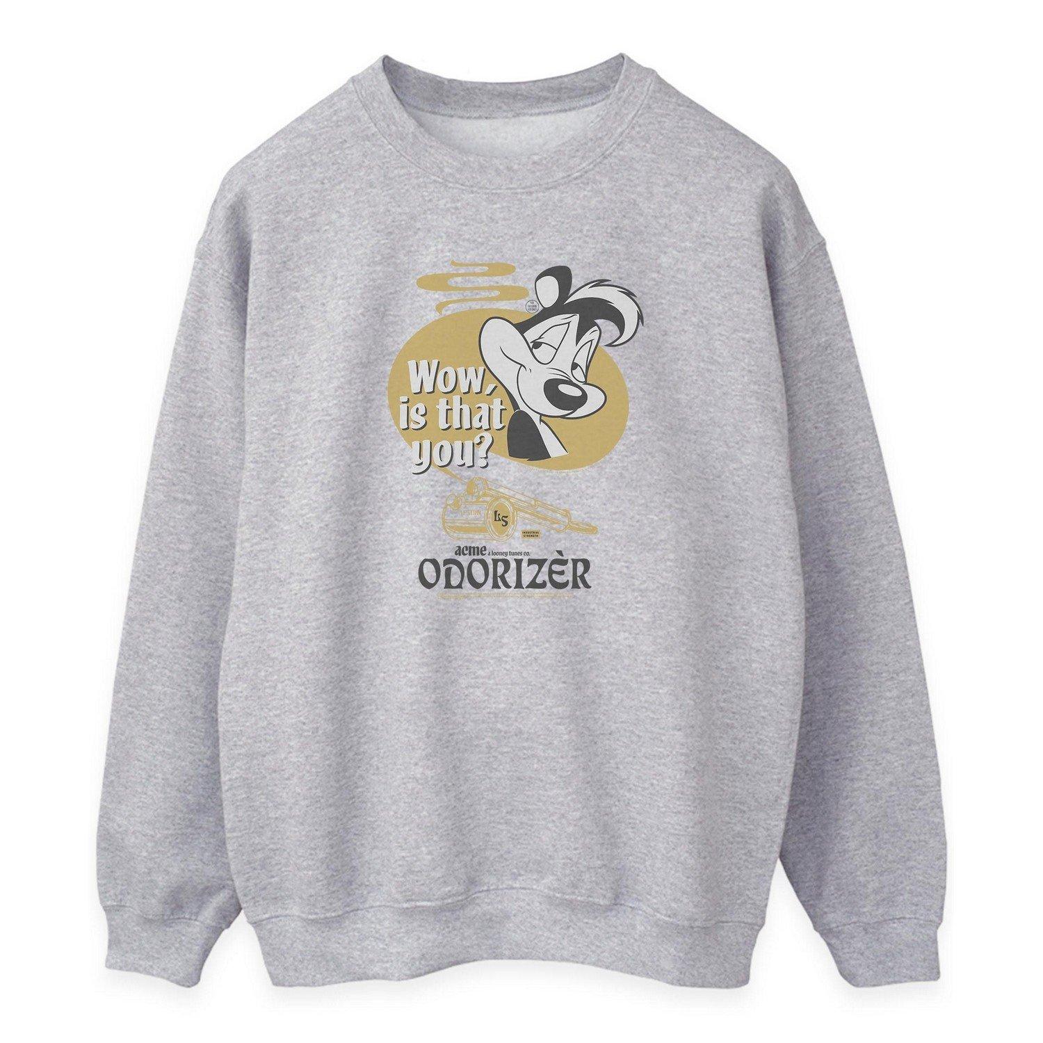 Odorizer Sweatshirt Damen Grau XXL von LOONEY TUNES