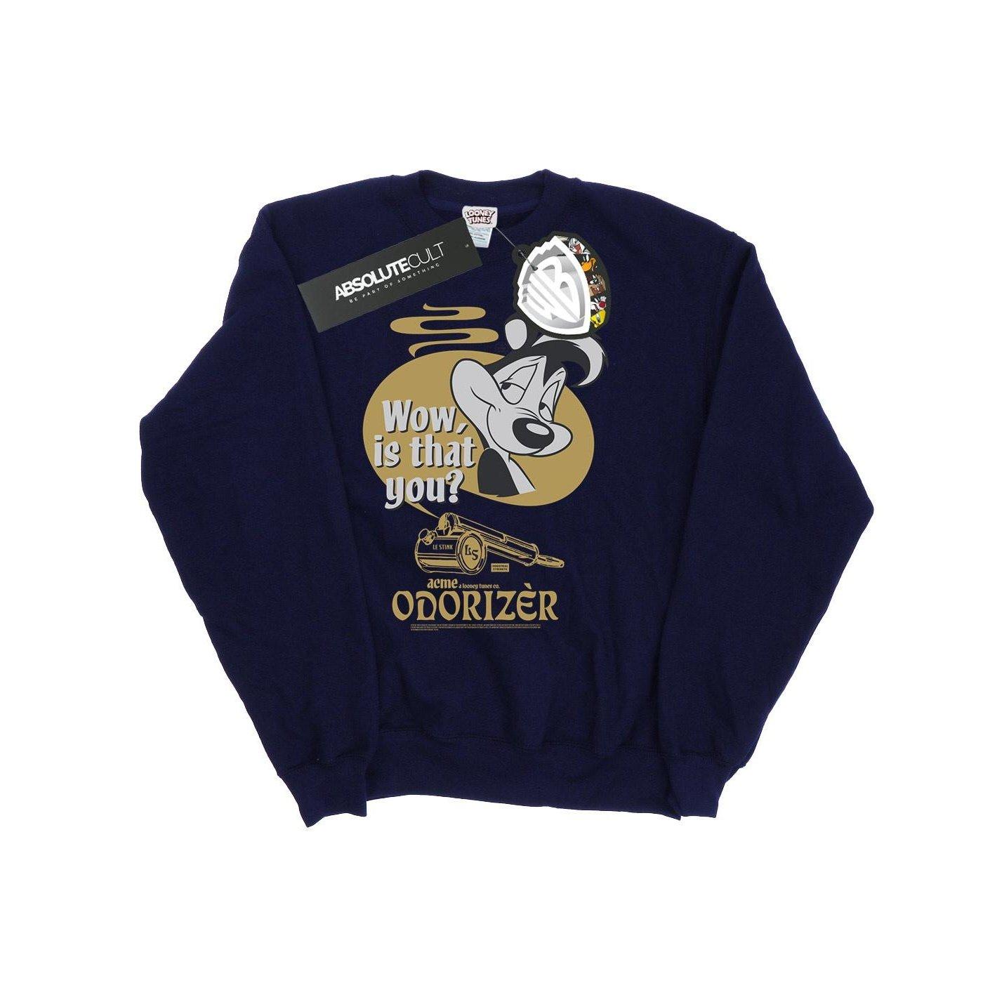 Odorizer Sweatshirt Damen Marine L von LOONEY TUNES