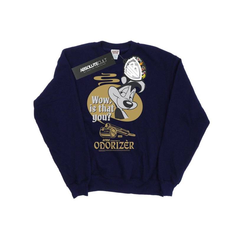 Odorizer Sweatshirt Damen Marine M von LOONEY TUNES