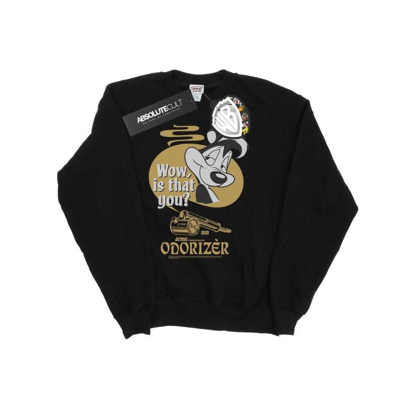 Odorizer Sweatshirt Damen Schwarz M von LOONEY TUNES