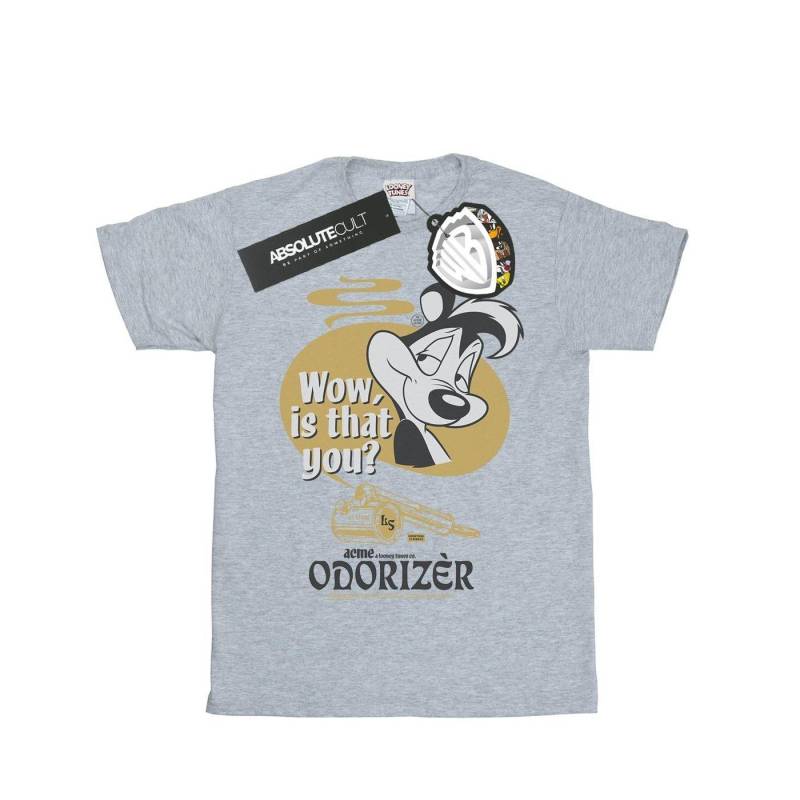 Odorizer Tshirt Herren Grau 3XL von LOONEY TUNES