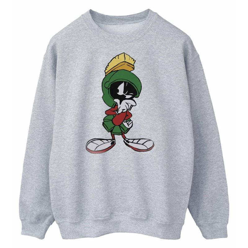 Sweatshirt Herren Grau 3XL von LOONEY TUNES