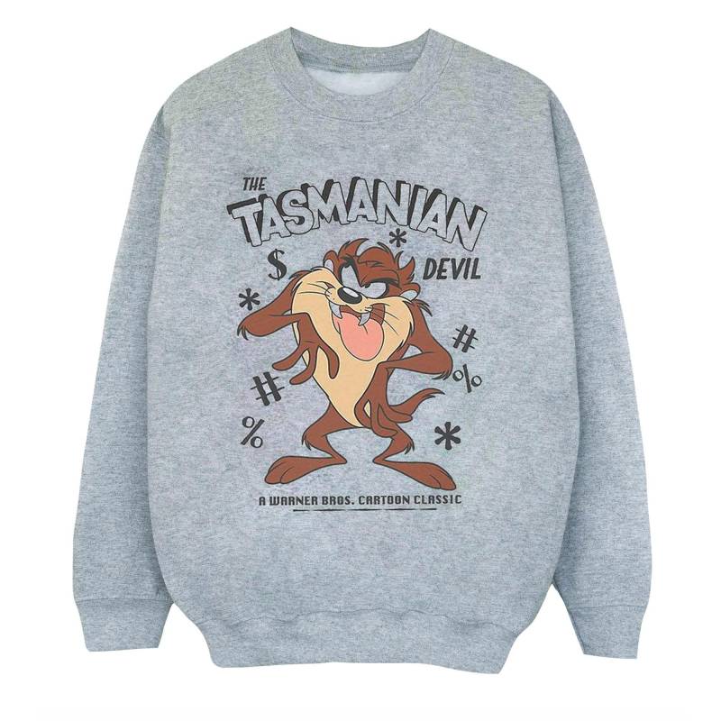 LOONEY TUNES - Sweatshirt, 152-158, Grau von LOONEY TUNES