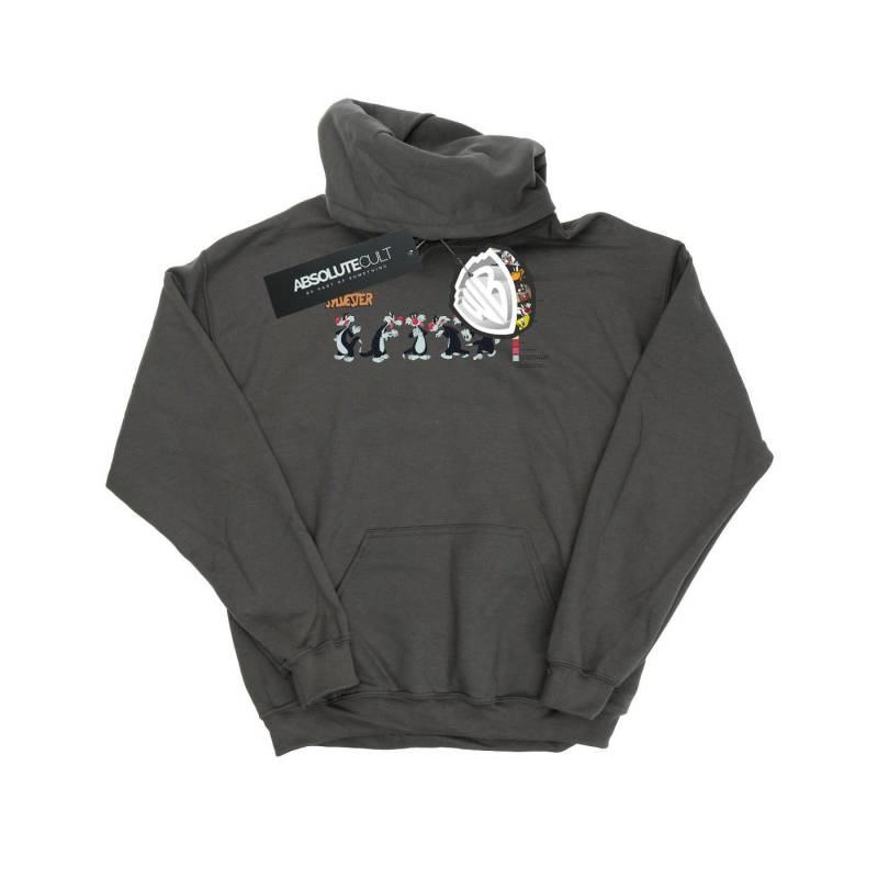 Sylvester Colour Code Kapuzenpullover Unisex Charcoal Black 140/146 von LOONEY TUNES