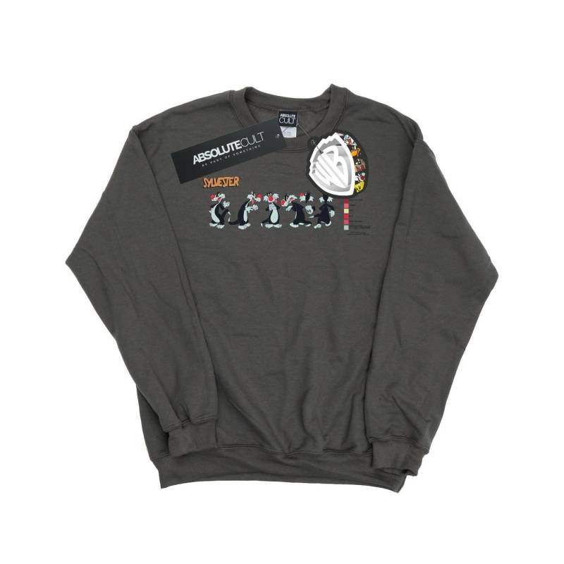 Sylvester Colour Code Sweatshirt Mädchen Charcoal Black 128 von LOONEY TUNES