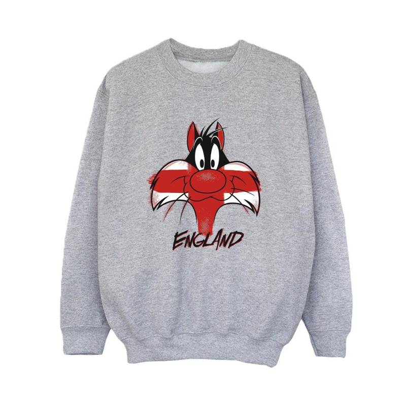 Sylvester England Face Sweatshirt Jungen Grau 116 von LOONEY TUNES