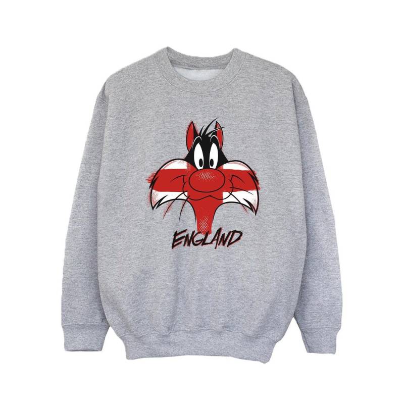 Sylvester England Face Sweatshirt Mädchen Grau 104 von LOONEY TUNES