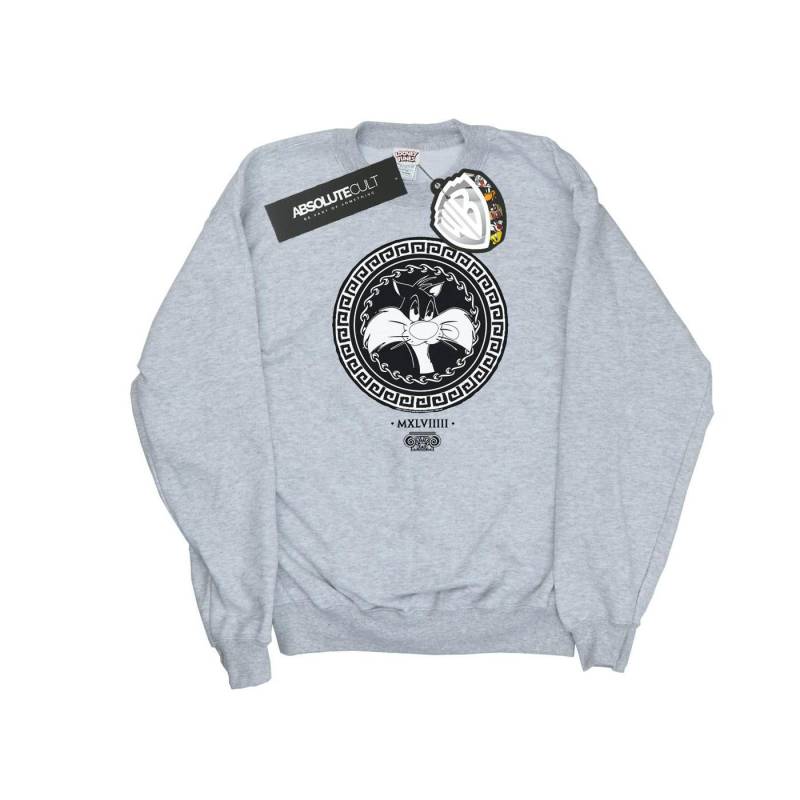 Sylvester Greek Circle Sweatshirt Jungen Grau 116 von LOONEY TUNES