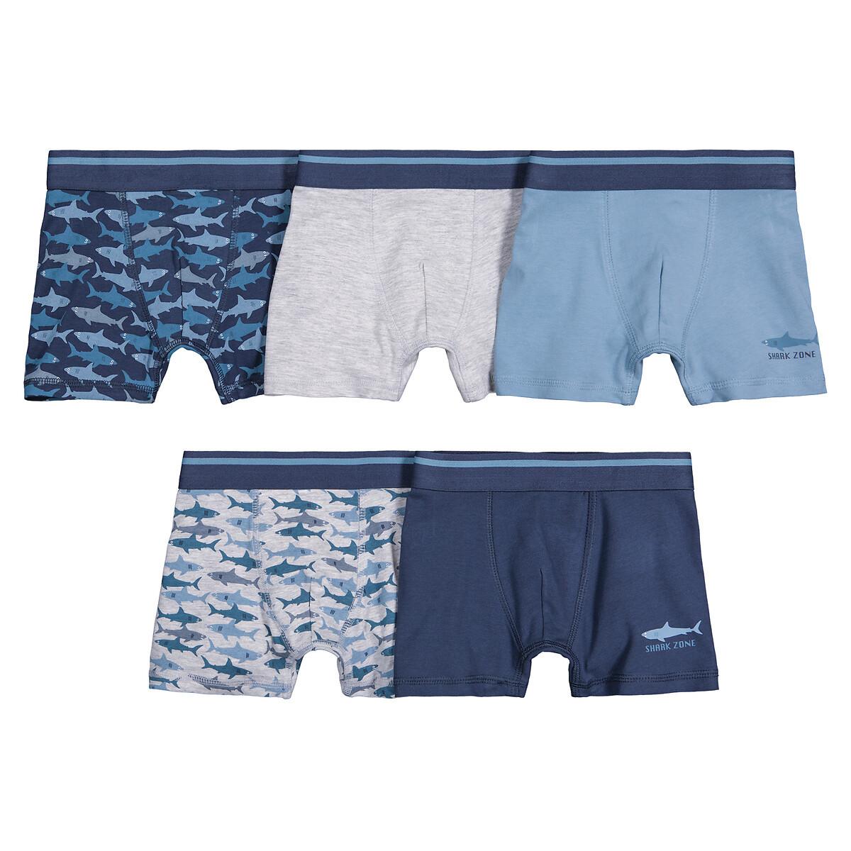 5er-pack Boxershorts Jungen Blau 12-13A von La Redoute Collections