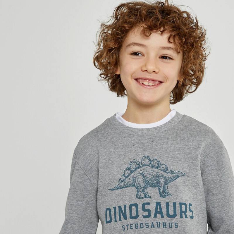 Sweatshirt Mit Rundhals Jungen Grau 118 von La Redoute Collections