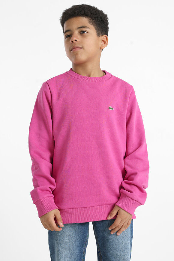 Lacoste Sweatshirt | Malva | Jungen  | 14 von Lacoste