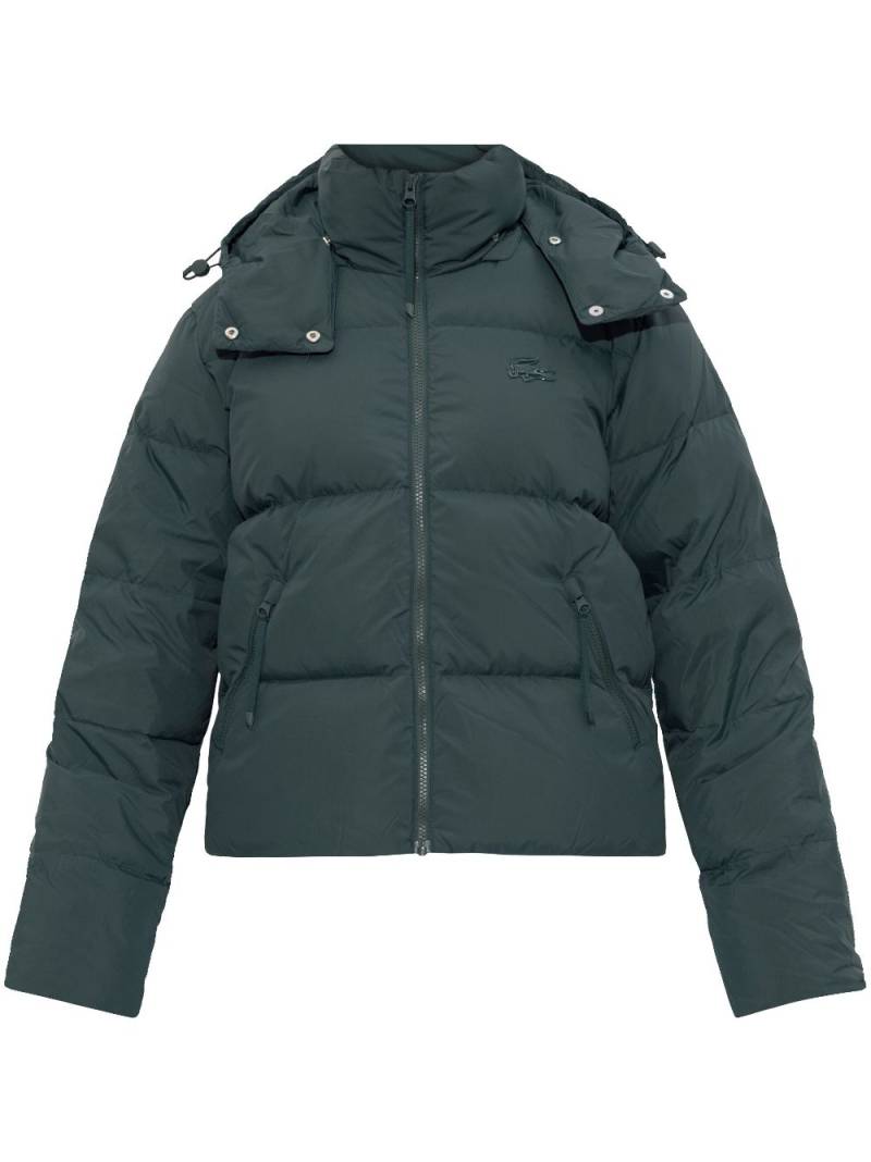 Lacoste hooded down jacket - Green von Lacoste