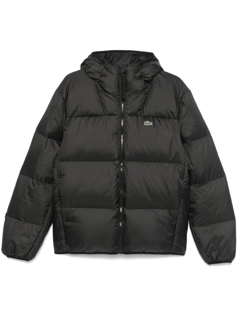 Lacoste hooded padded jacket - Black von Lacoste