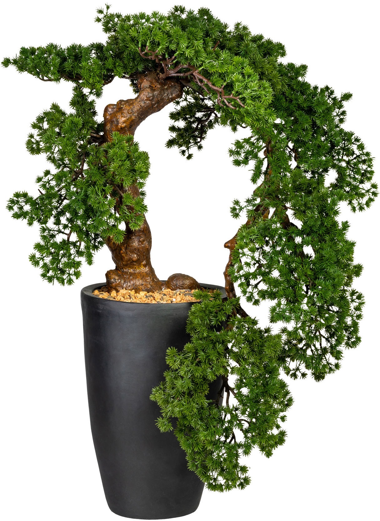 Leonique Kunstbonsai »Carolyne«, Kunstpflanze, im Magnesiatopf Leonique Kunstbonsai »Carolyne«, Kunstpflanze, im Magnesiatopf von Leonique
