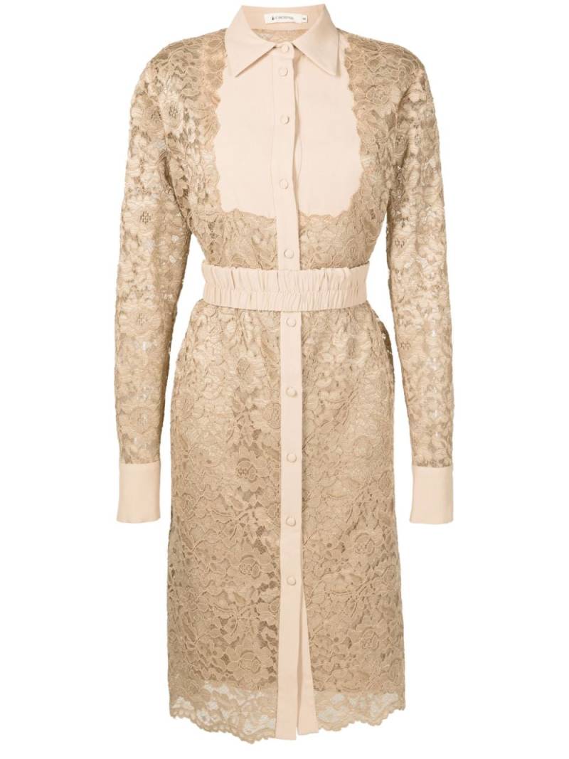 Lethicia Bronstein Ada panelled lace midi shirtdress - Neutrals von Lethicia Bronstein