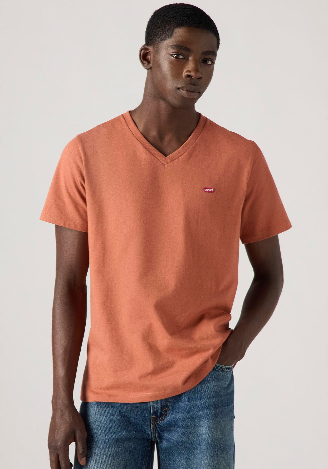 Levi's® V-Shirt »LE ORIGINAL HM VNECK«, mit Logostickerei von Levi's®