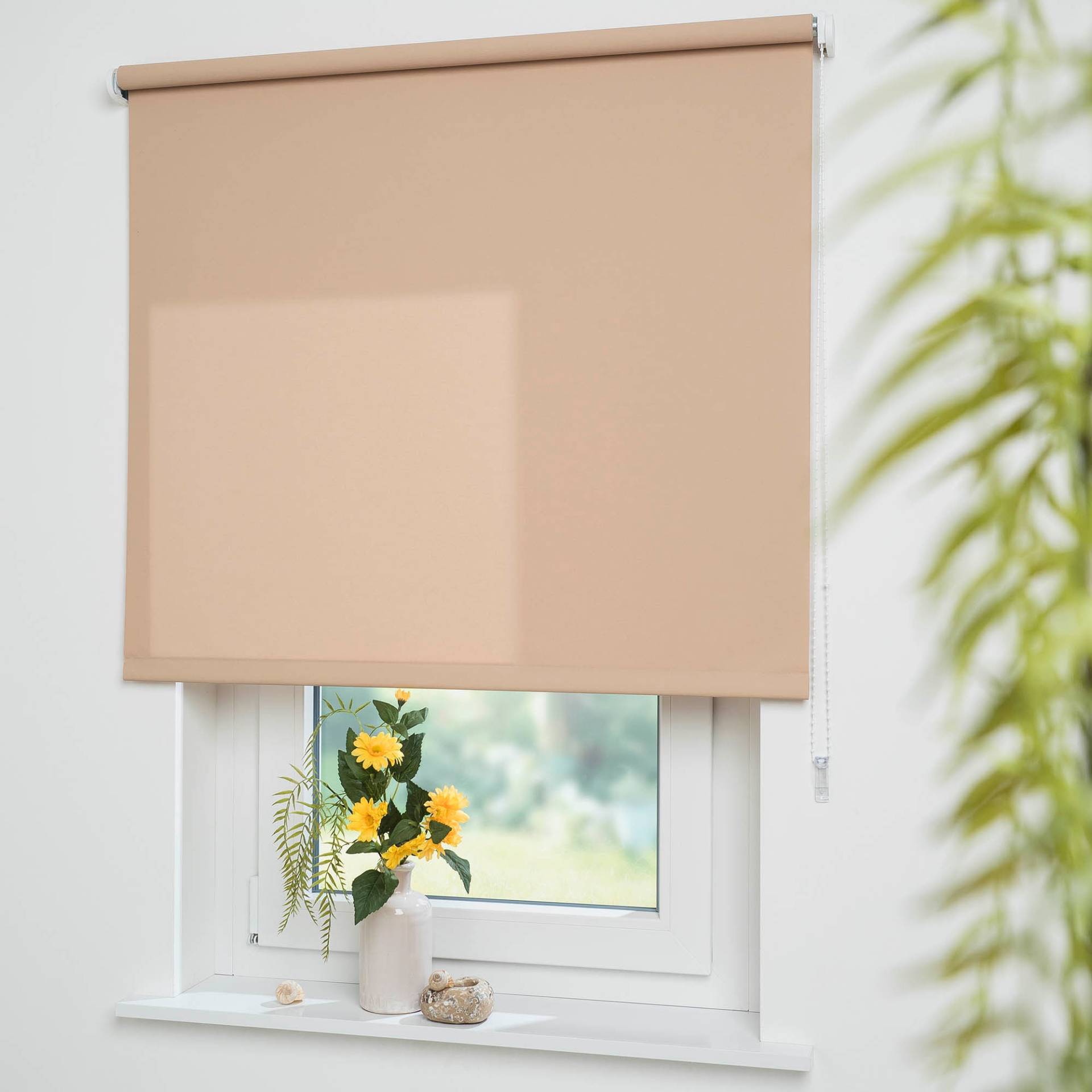 Liedeco Seitenzugrollo »Uni«, Lichtschutz, mit Bohren, freihängend, Montage ohne Bohren zum Klemmen mit separatem Klemmträger möglich Liedeco Seitenzugrollo »Uni«, Lichtschutz, mit Bohren, freihängend, Montage ohne Bohren zum Klemmen mit separatem Klemmträger möglich von LIEDECO