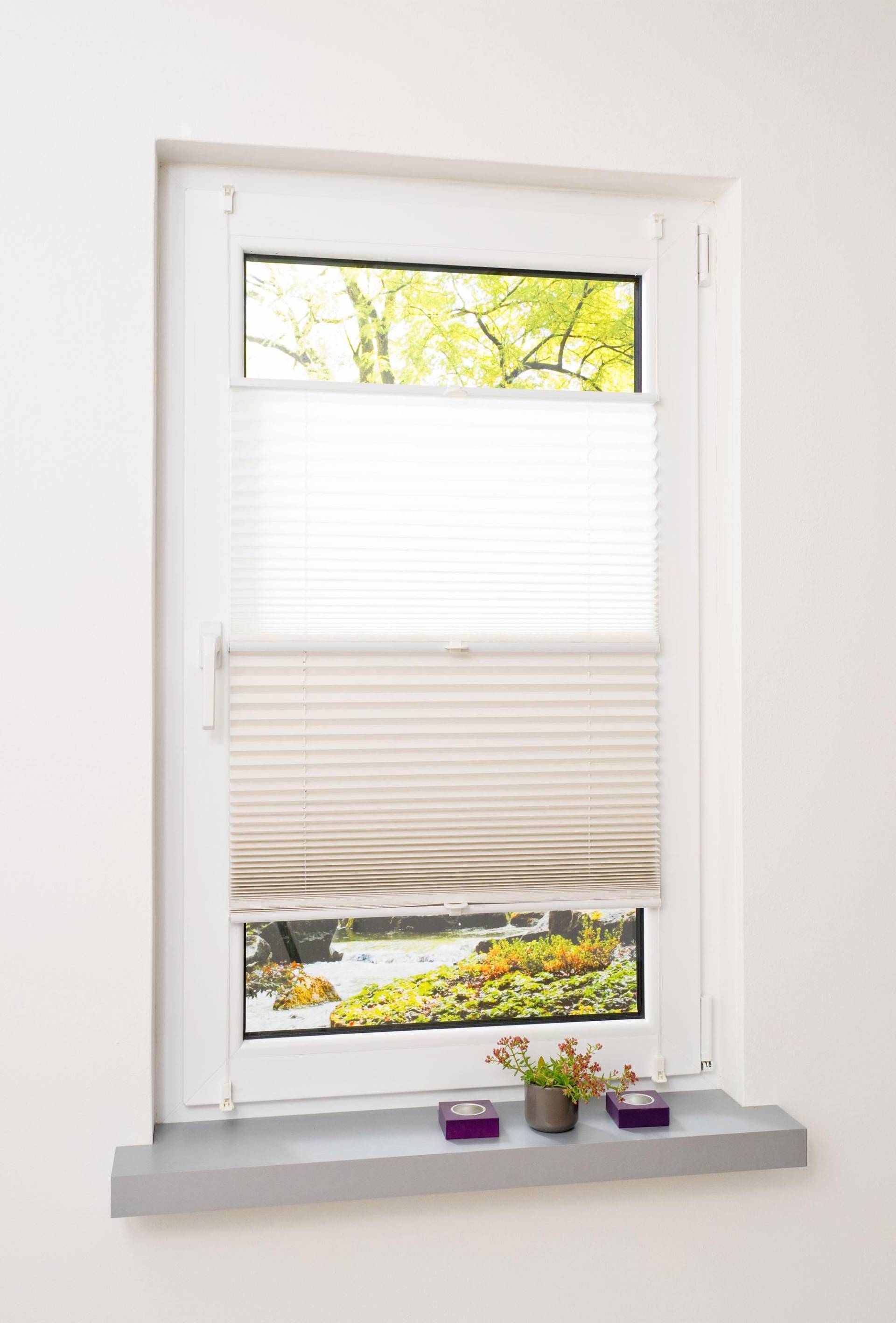 Liedeco Plissee »Day & Night«, Lichtschutz, ohne Bohren, verspannt, Faltenstore Liedeco Plissee »Day & Night«, Lichtschutz, ohne Bohren, verspannt, Faltenstore von LIEDECO