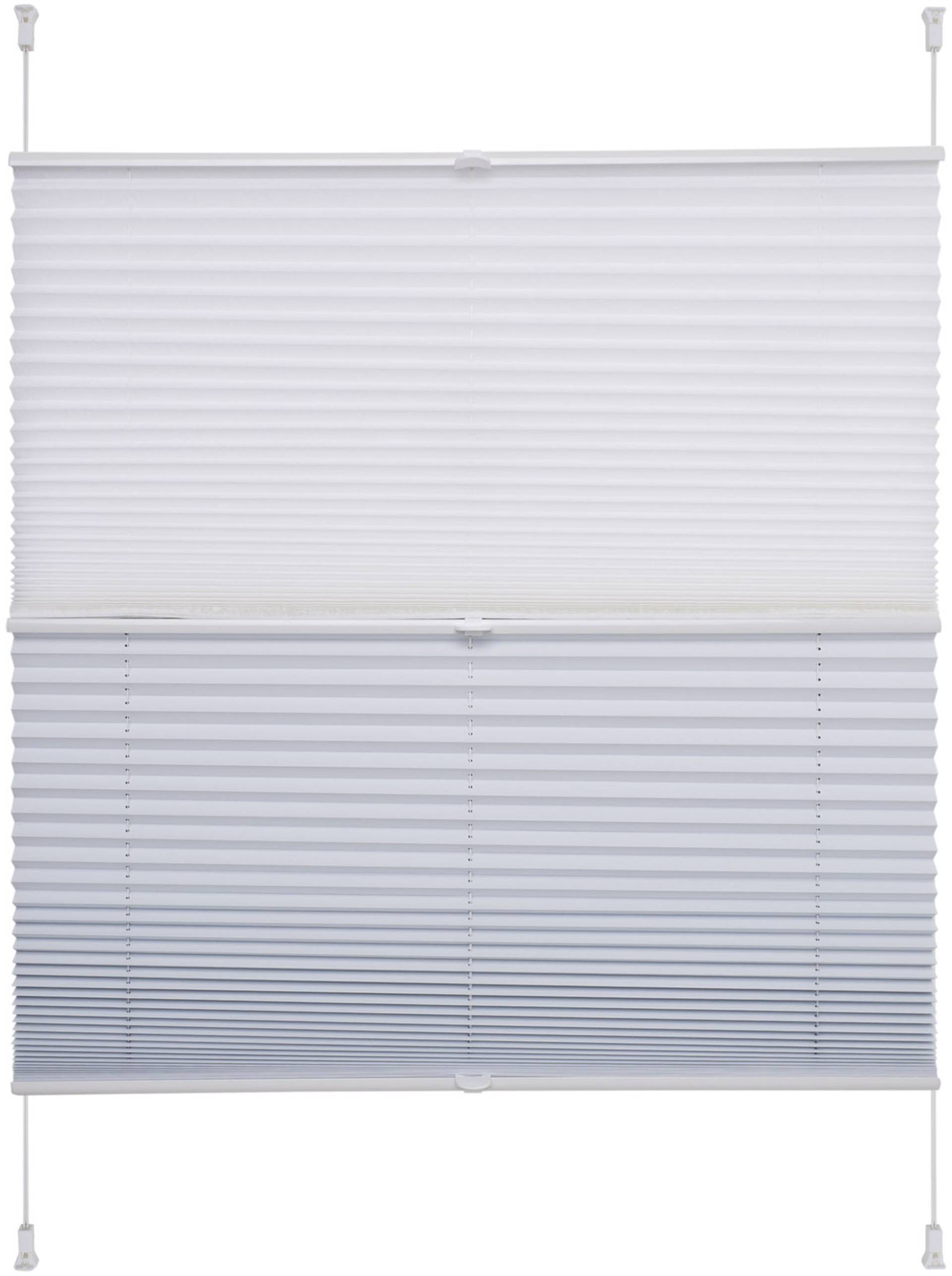 Liedeco Plissee »Day & Night«, Lichtschutz, ohne Bohren, verspannt, Faltenstore Liedeco Plissee »Day & Night«, Lichtschutz, ohne Bohren, verspannt, Faltenstore von LIEDECO