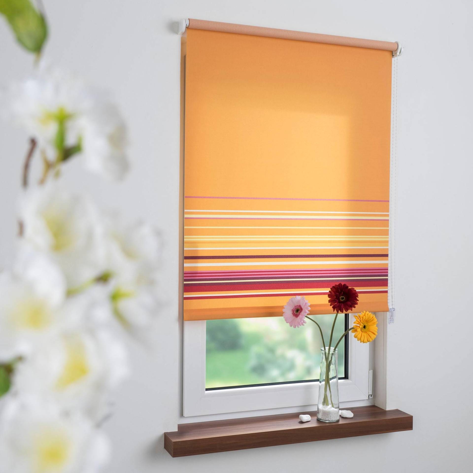 Liedeco Seitenzugrollo »Dekor Bordüre«, Lichtschutz, freihängend, Seitenzugrollo Dekor Bordüre Liedeco Seitenzugrollo »Dekor Bordüre«, Lichtschutz, freihängend, Seitenzugrollo Dekor Bordüre von LIEDECO