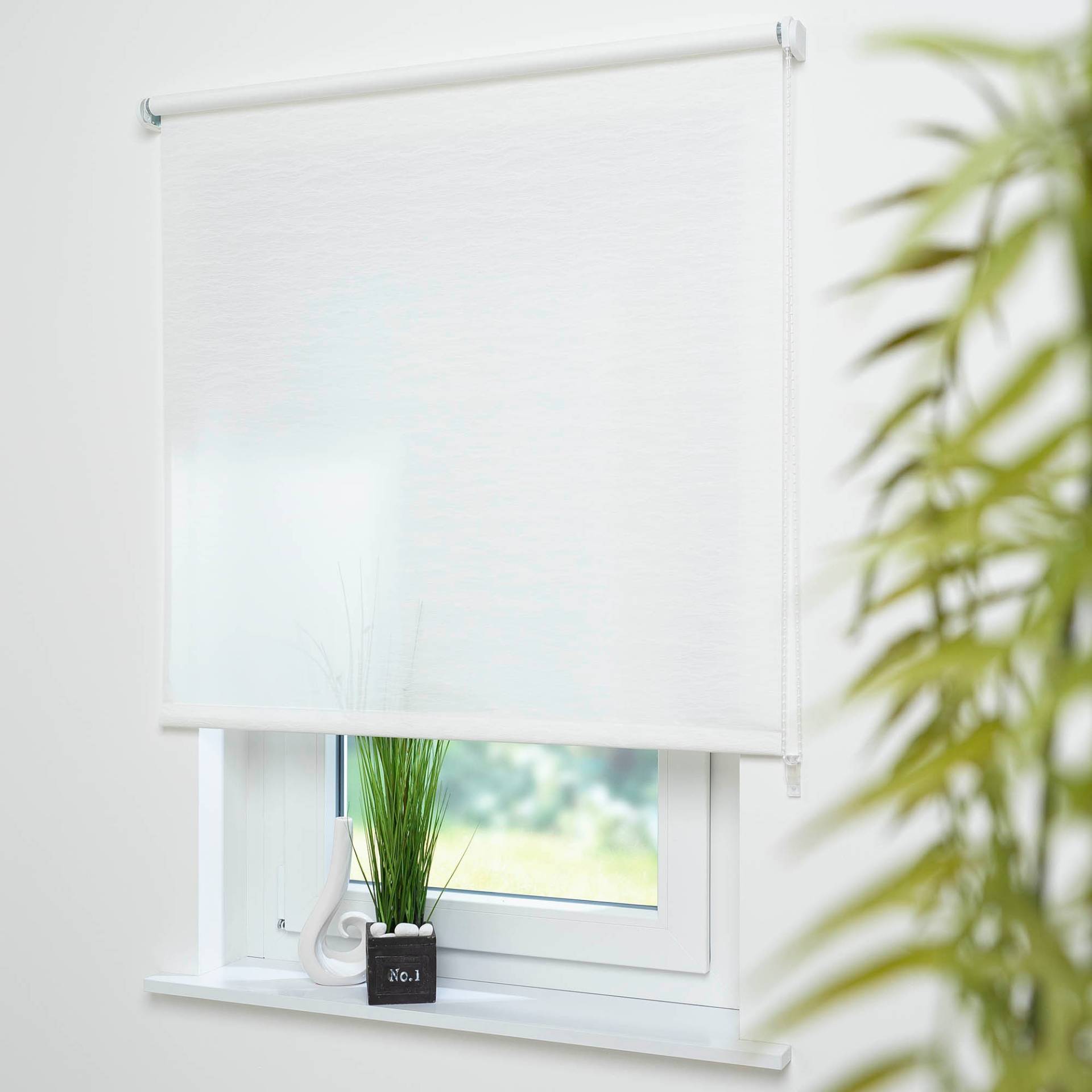 Liedeco Seitenzugrollo »Dekor Faden«, Lichtschutz, ohne Bohren Liedeco Seitenzugrollo »Dekor Faden«, Lichtschutz, ohne Bohren von LIEDECO