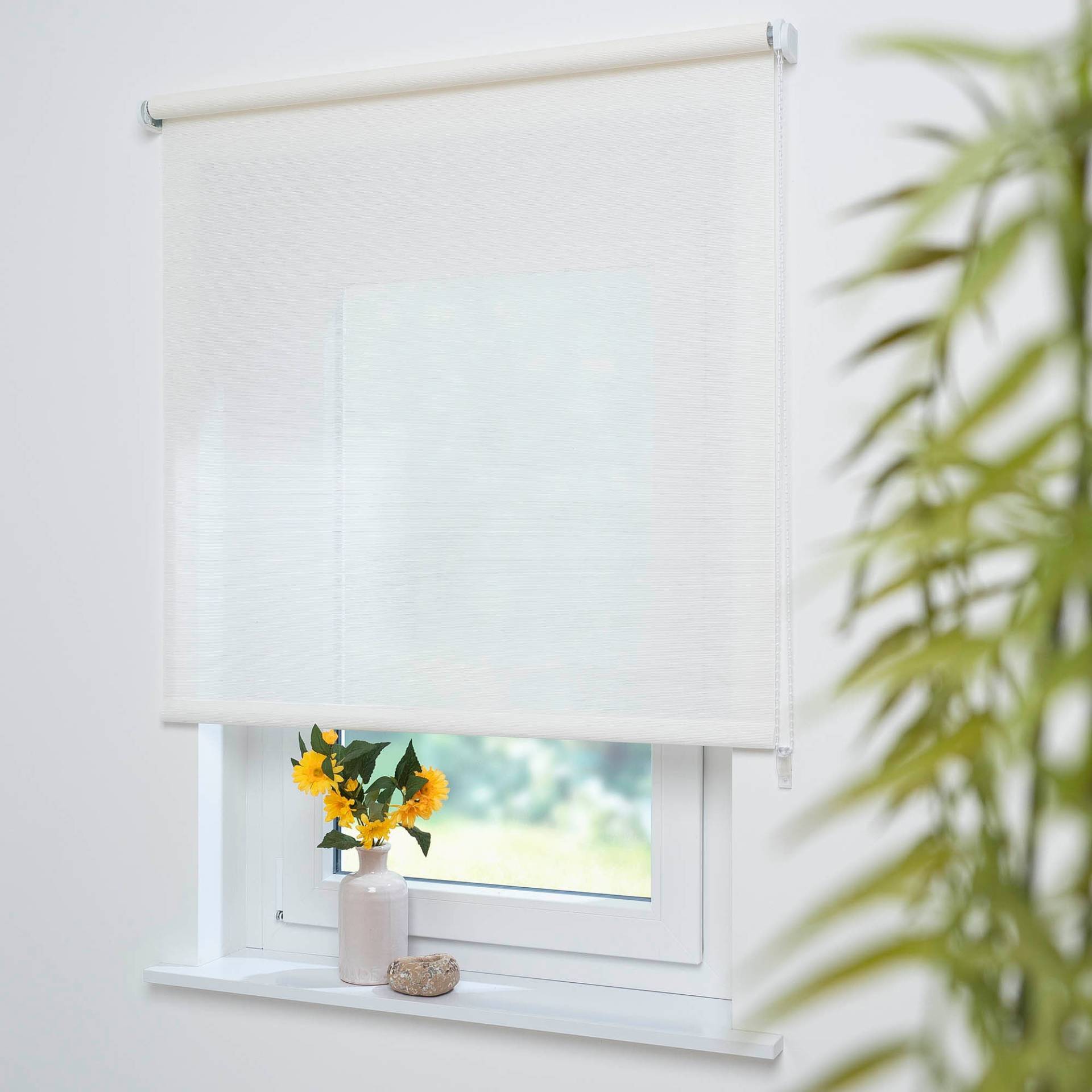 Liedeco Seitenzugrollo »Dekor Struktur«, Lichtschutz, mit Bohren Liedeco Seitenzugrollo »Dekor Struktur«, Lichtschutz, mit Bohren von LIEDECO