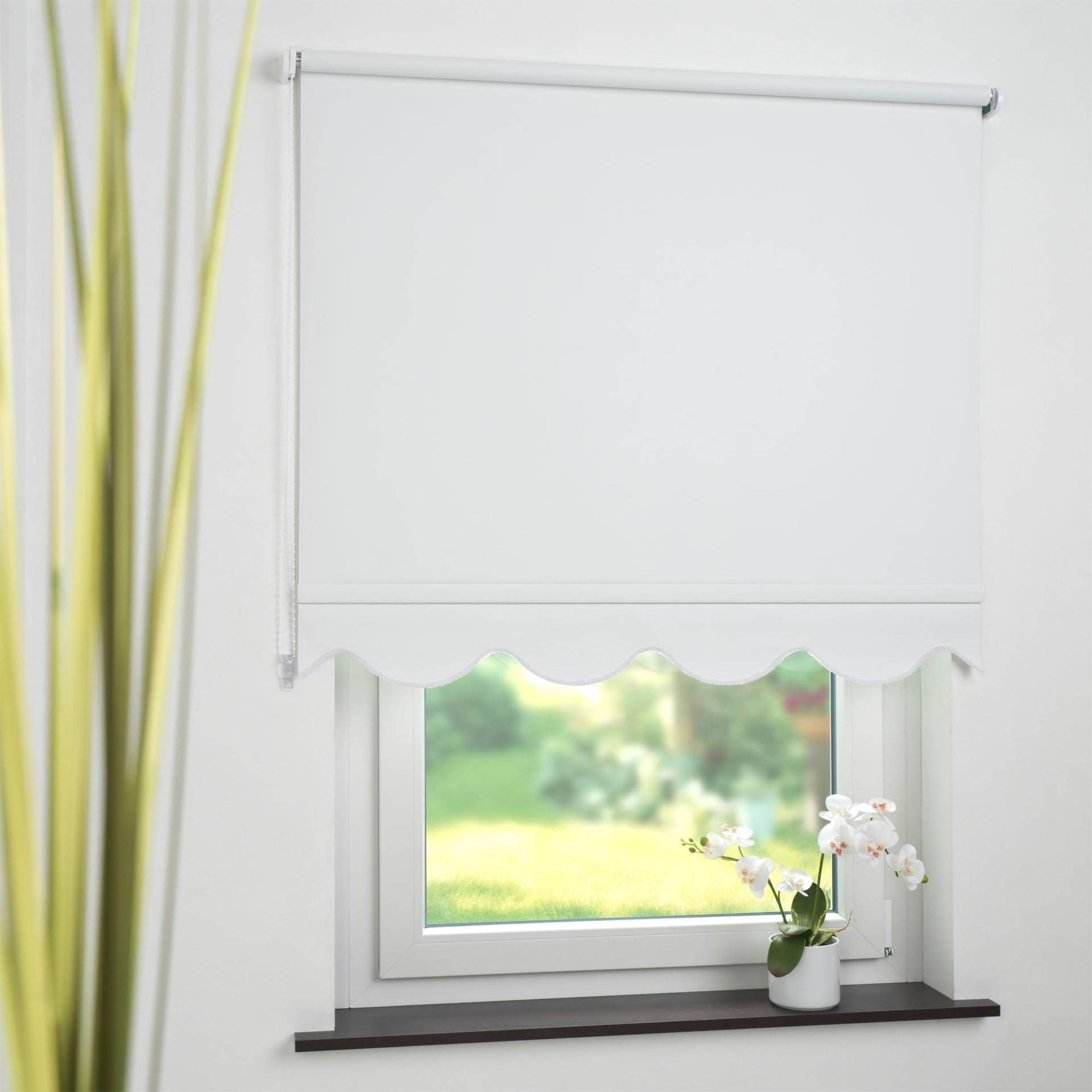 Liedeco Seitenzugrollo, verdunkelnd, energiesparend, mit Bohren, Volantrollo - Volant Klassik, Fixmass Liedeco Seitenzugrollo, verdunkelnd, energiesparend, mit Bohren, Volantrollo - Volant Klassik, Fixmass von LIEDECO