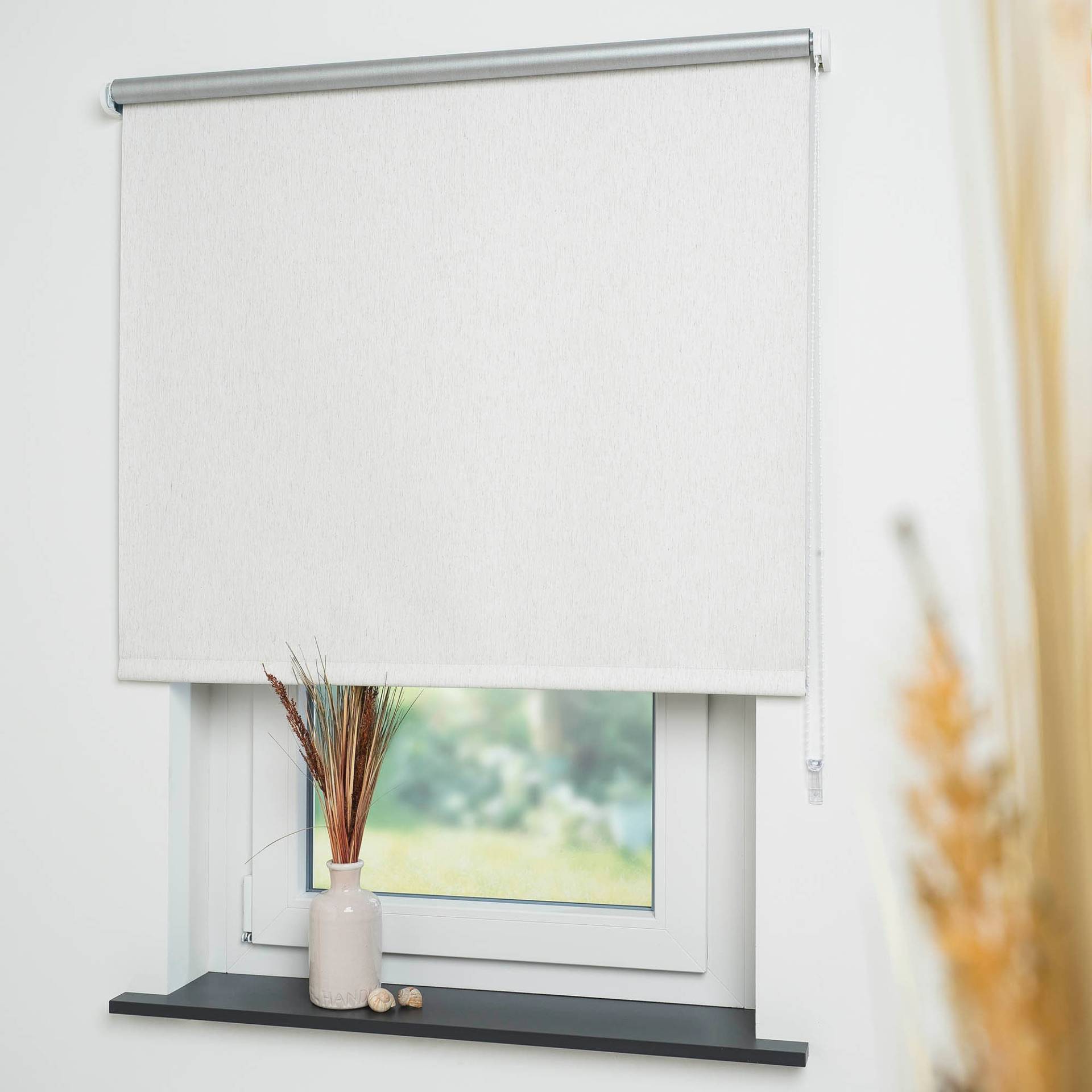 Liedeco Seitenzugrollo »Thermo-Rollo«, verdunkelnd, energiesparend Liedeco Seitenzugrollo »Thermo-Rollo«, verdunkelnd, energiesparend von LIEDECO